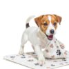 Green Lifestyle Reusable Dog Training Pads Quilted Washable-3
