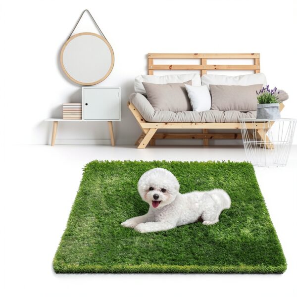 Pavo Reusable Dog Training Pads Artificial Grass Indoor-1