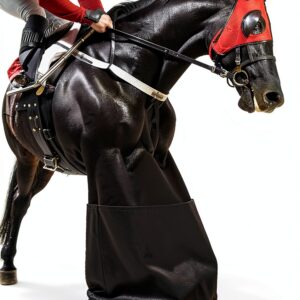 Richard Harrison Horse Racing Kindle Book English 205 Pages-0