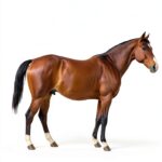 Ballantine Books Civil War Biography Kindle Edition-0