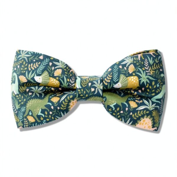 Boys Suspenders Dino Combo Imported Hand Wash Clothing-2