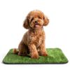 InwodiTeki Reusable Dog Training Pads Durable Easy Clean-7
