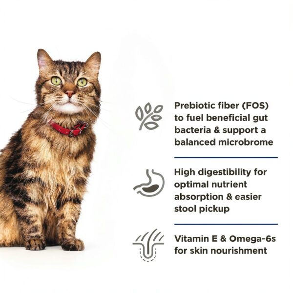 Hill's Science Diet Sensitive Stomach & Skin Cat Food Chicken & Rice-2
