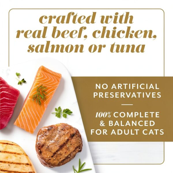 Fancy Feast Gems Wet Cat Food Pack of 12 – 4oz Pâté with Savory Gravy-2