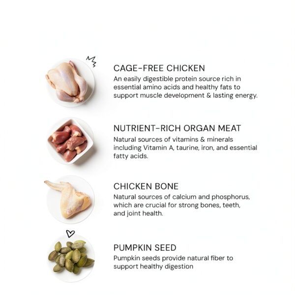 Freeze Dried Raw Cat Dinner Stella & Chewy's Chicken 98% Cage-Free-8
