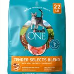 Purina ONE Natural Dry Cat Food Tender Selects with Real Chicken 22 lb-0